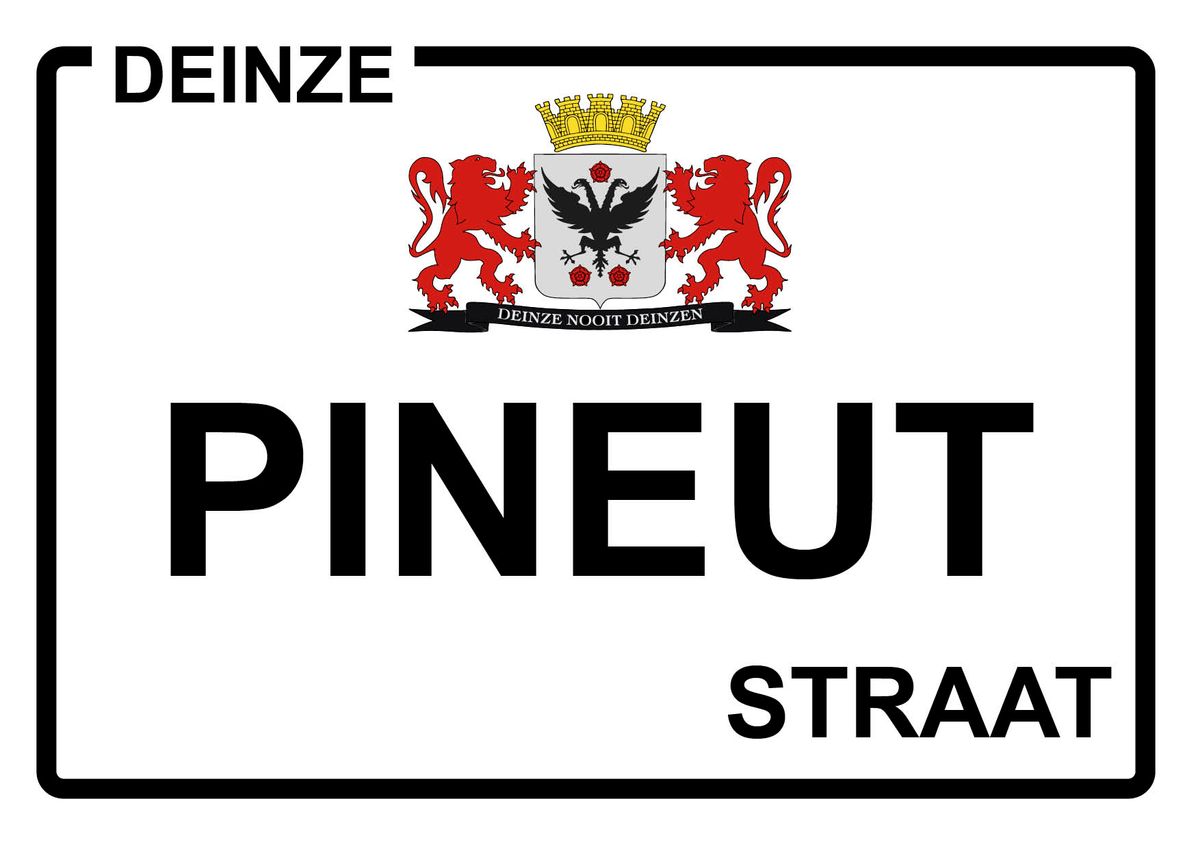 De Pineutstraat